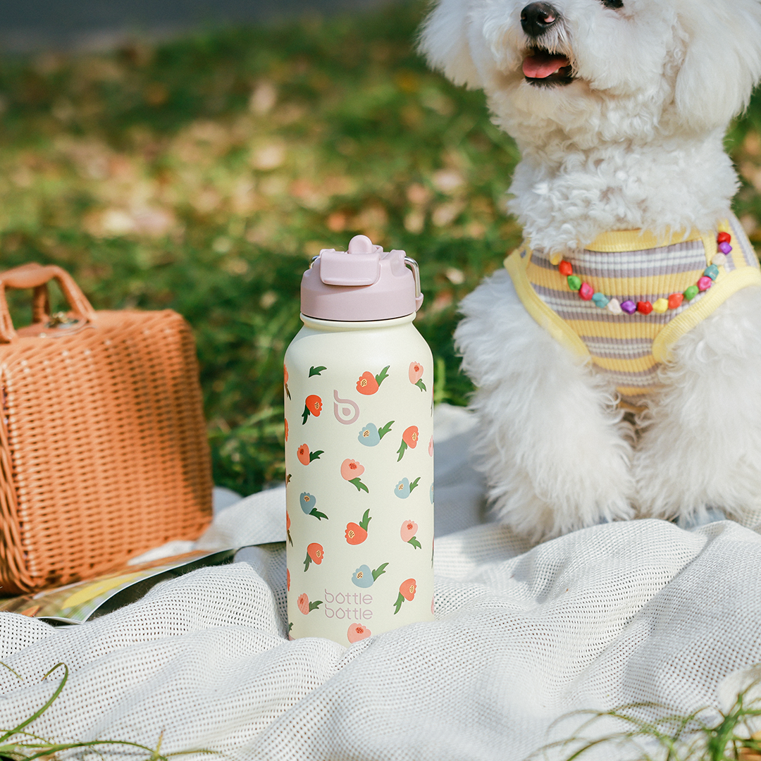 Hydro X Bottle 32oz (Bow Design is on Pre-sale)